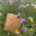 Papiertragetasche "Lavendel"